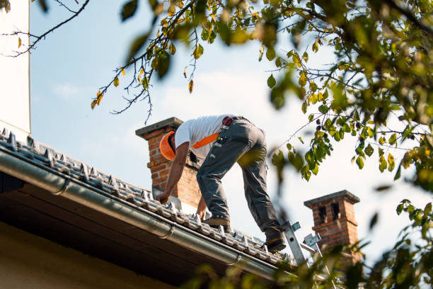Best Roof Gutter Cleaning  in Hooks, TX