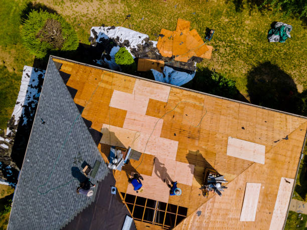 Best Tile Roofing Contractor  in Hooks, TX